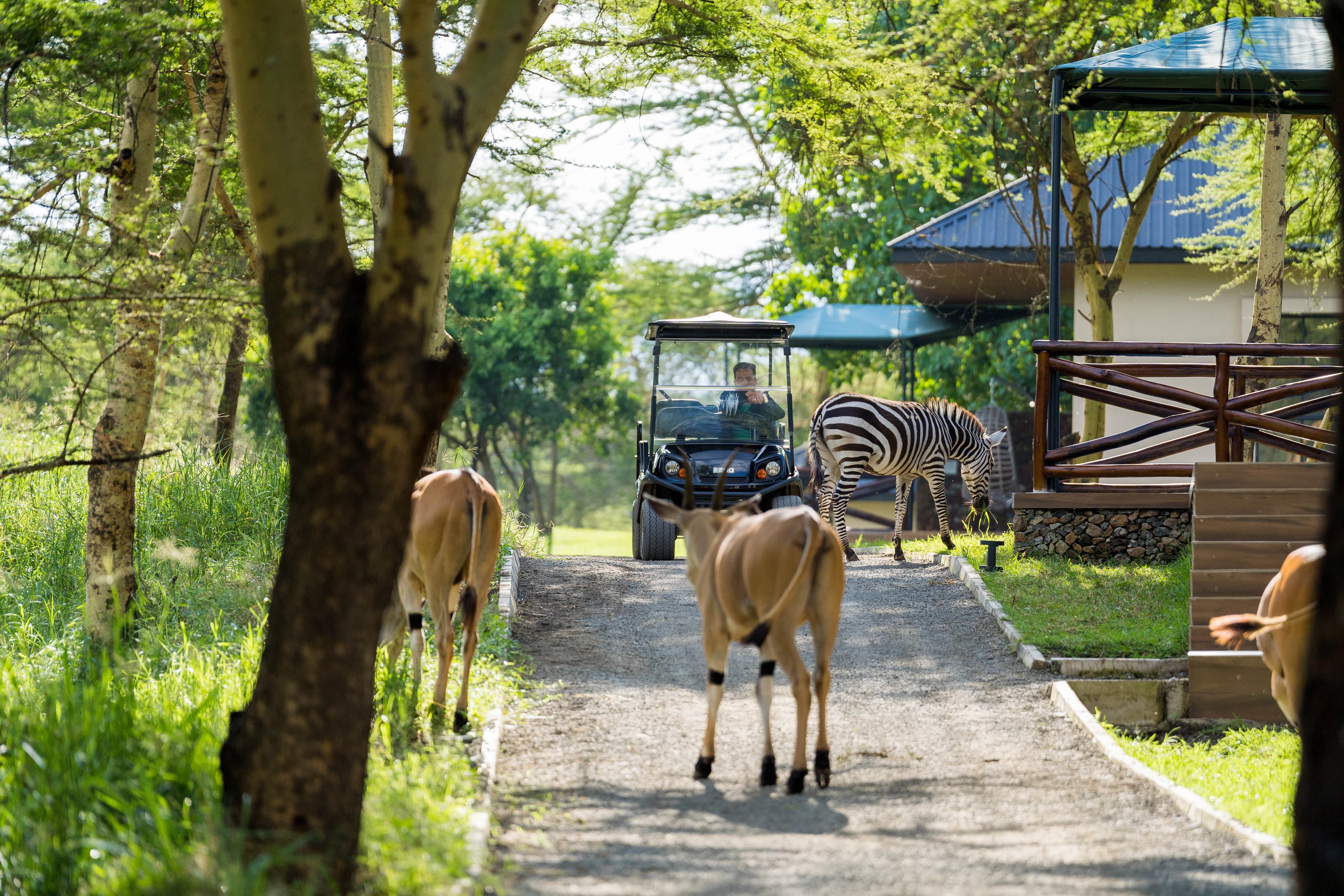 Front view of Aya Sophia wildlife villa in Arusha, Tanzania - a luxury retreat surrounded by nature, perfect for elegant stays